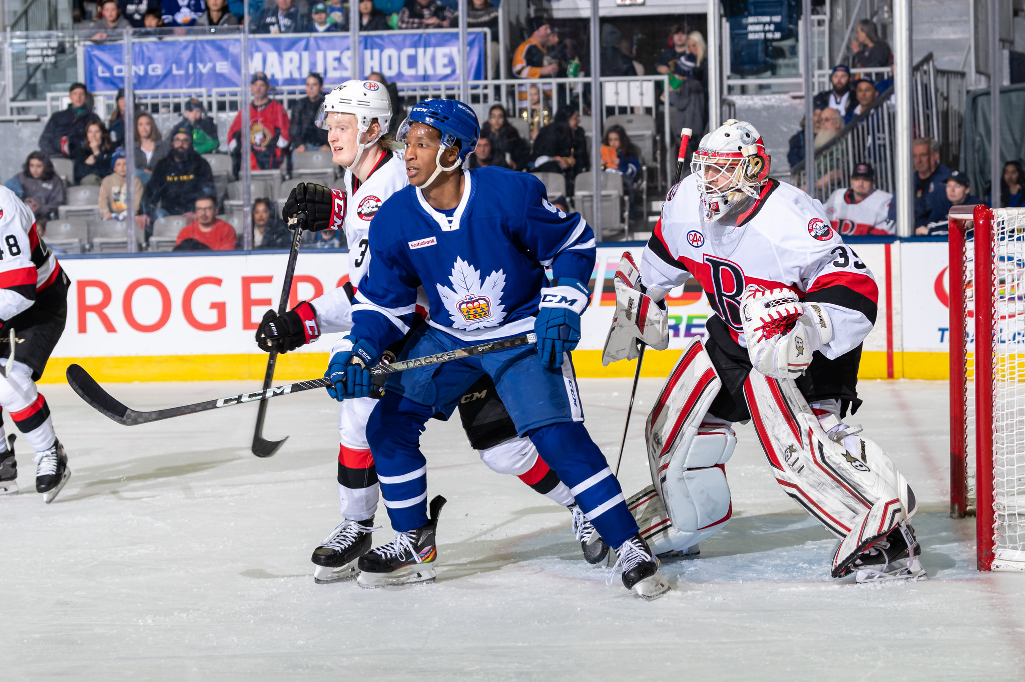 Belleville Sens conclude busy weekend with loss to Marlies