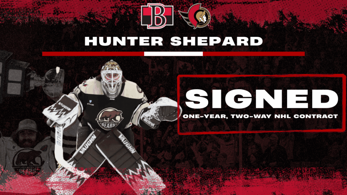 Sens complete hunt for help in goal, sign two-time AHL champ Shepard ...