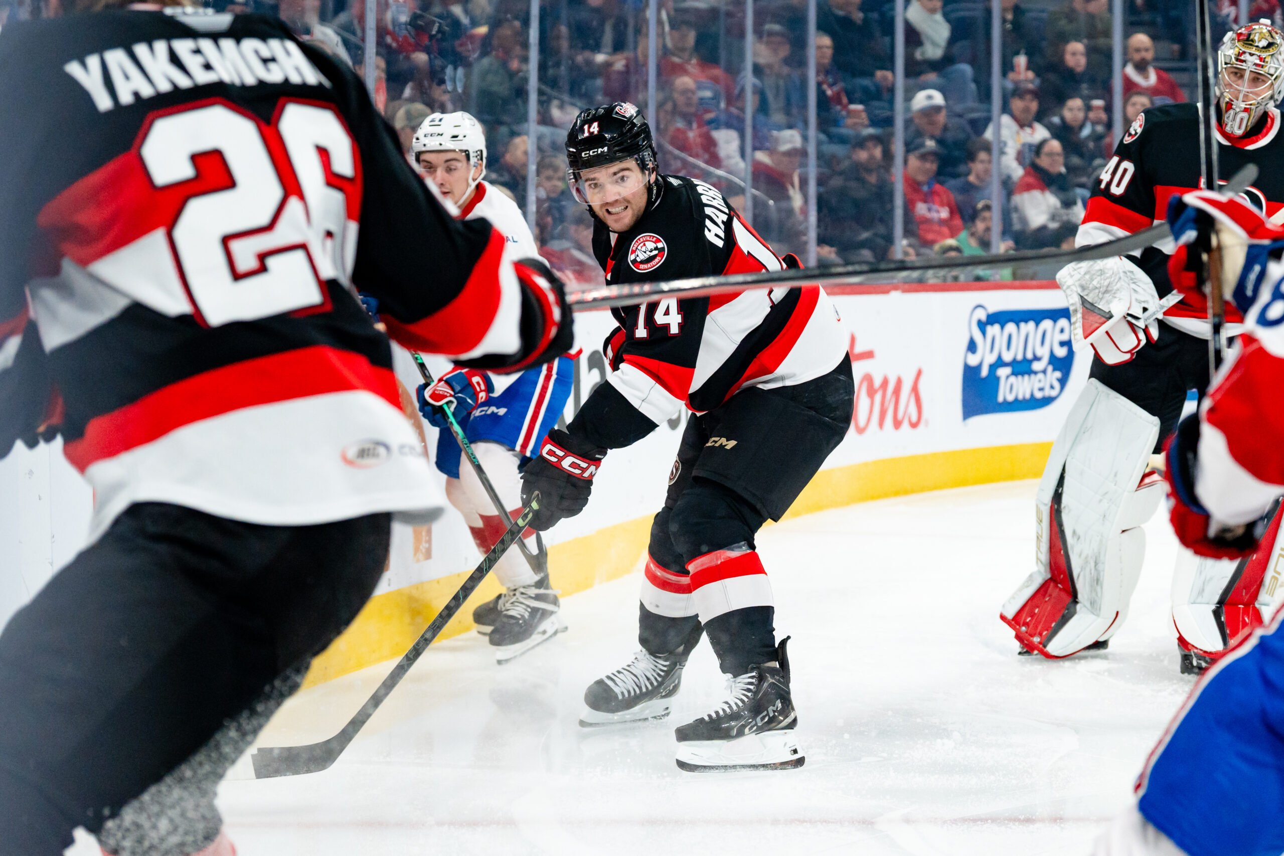 hockey players fighting for puck
